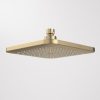 Caroma Luna Overhead Shower Head Only, Square_90386BB4E