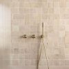 Nero Slim Shower on Bracket Brushed Gold, NR307BG_IMG2